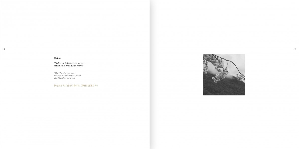 page 22 catalogue exposition Influences de Luc Eyriey