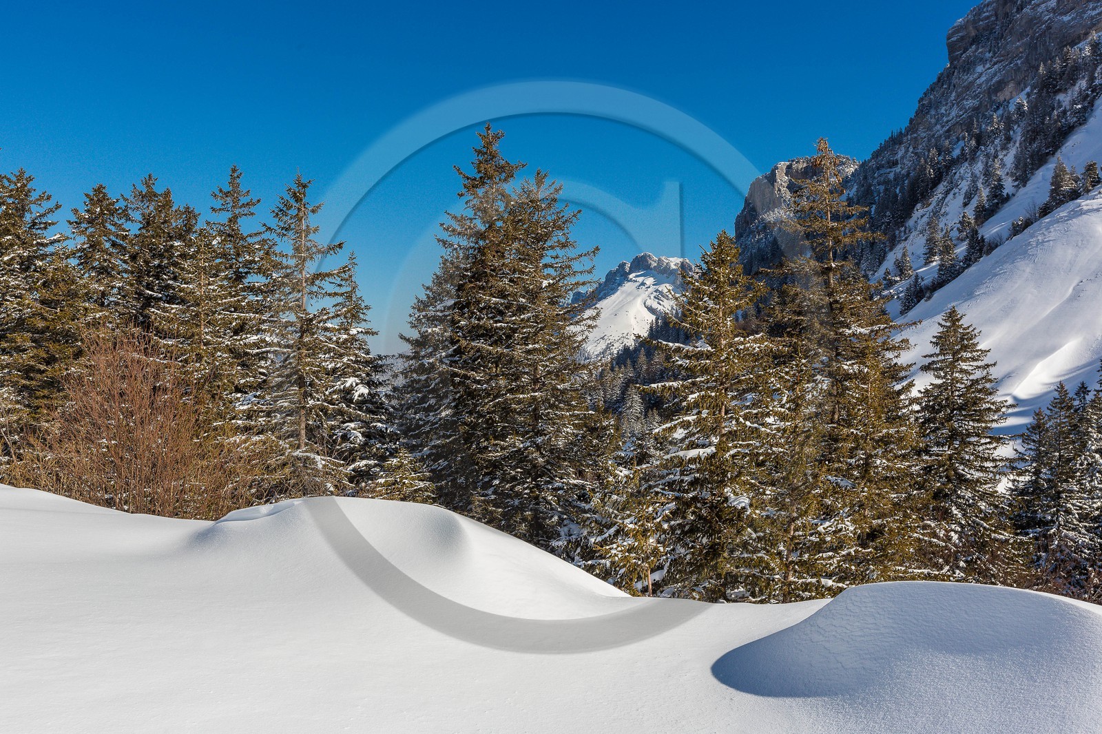 Espace naturel sensible de l'Isère, Col du Coq