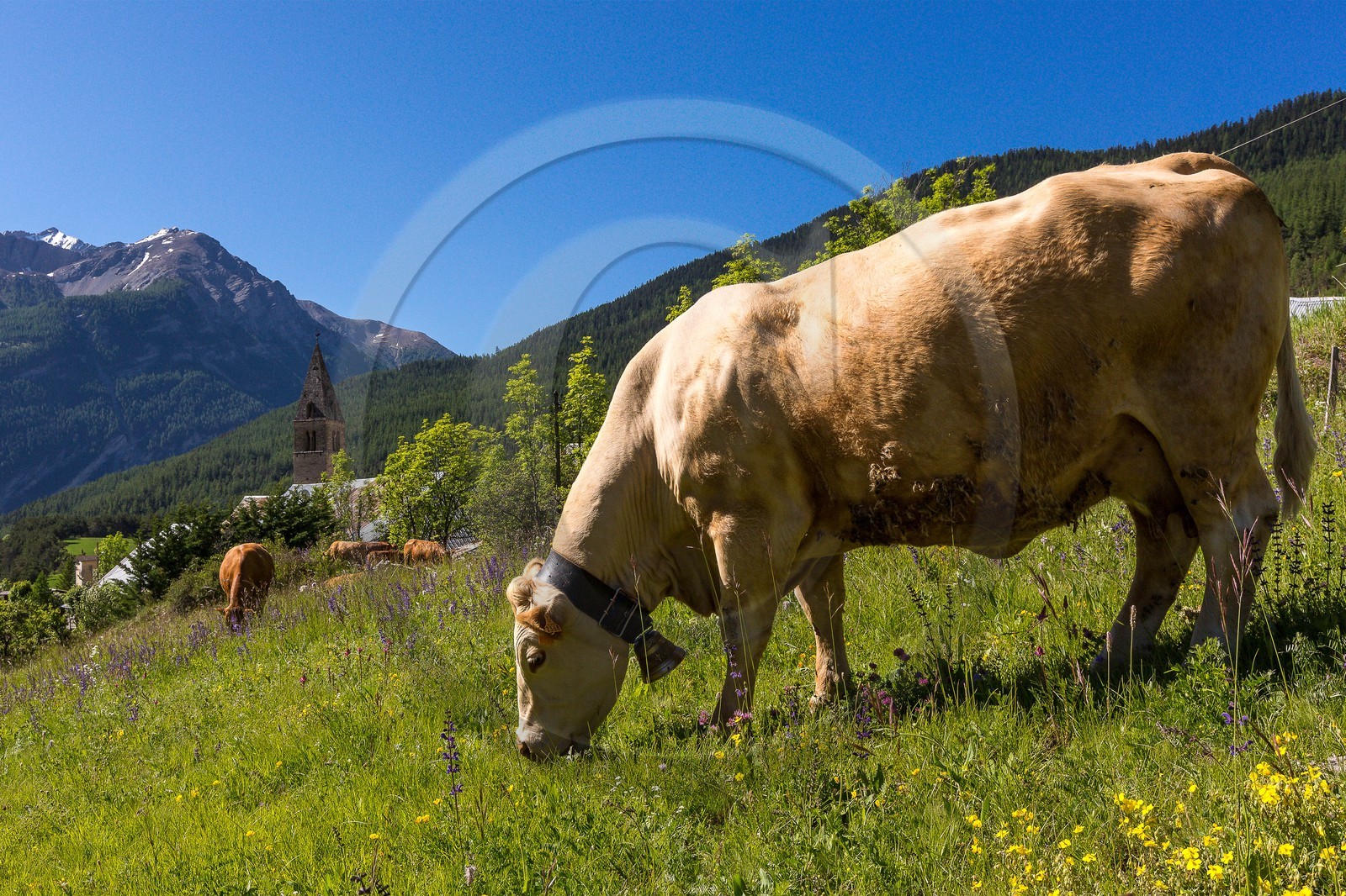 Saint-Paul-sur-Ubaye, hameau de Tournoux Saint-Paul-sur-Ubaye, hameau de Tournoux