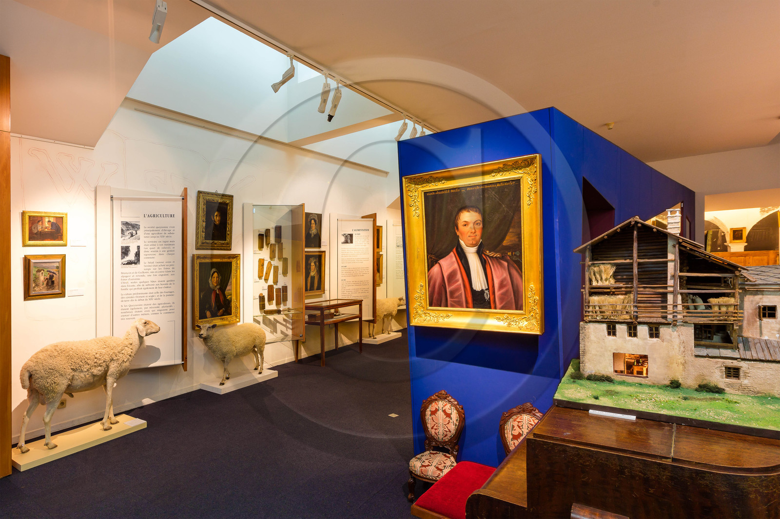 Gap, Musée Muséum départemental des Hautes-Alpes