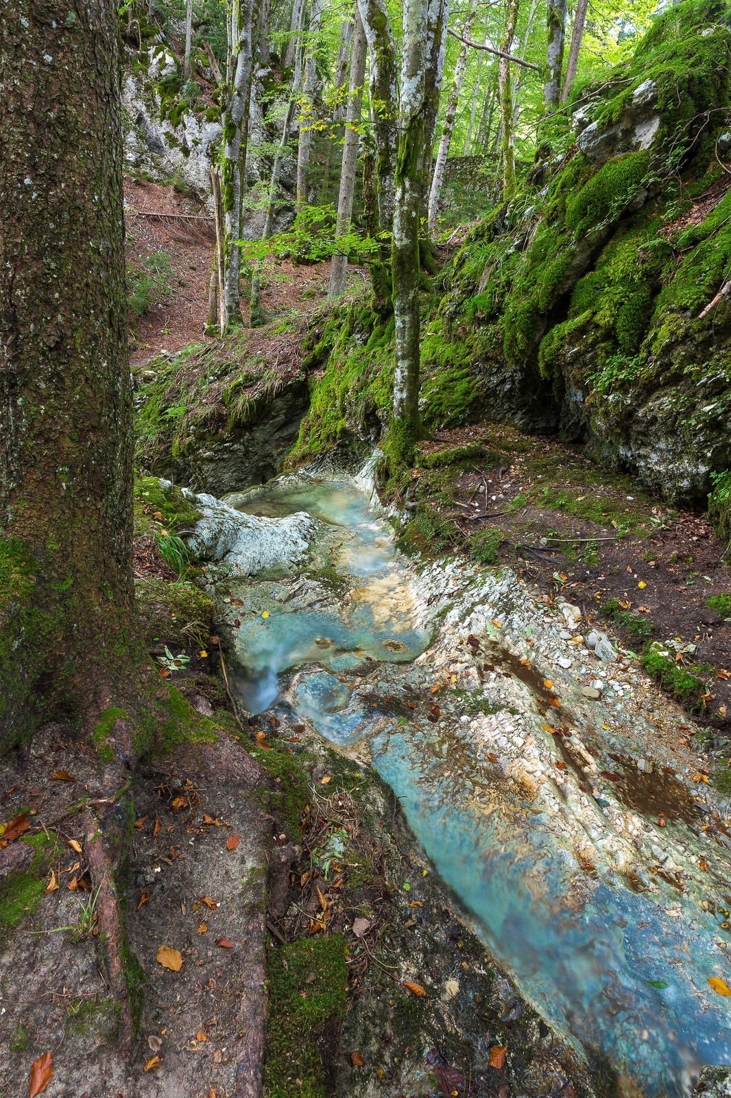 ENS de l'Isère, Les Ecouges