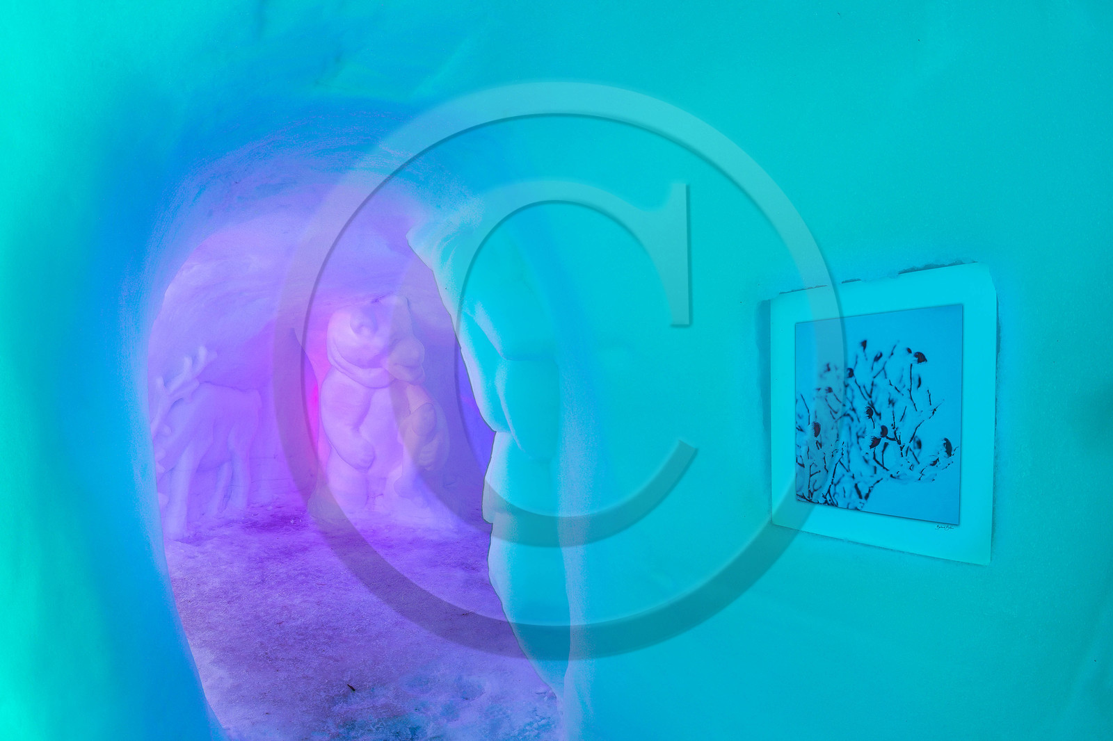 Igloo Pelvoux 2015