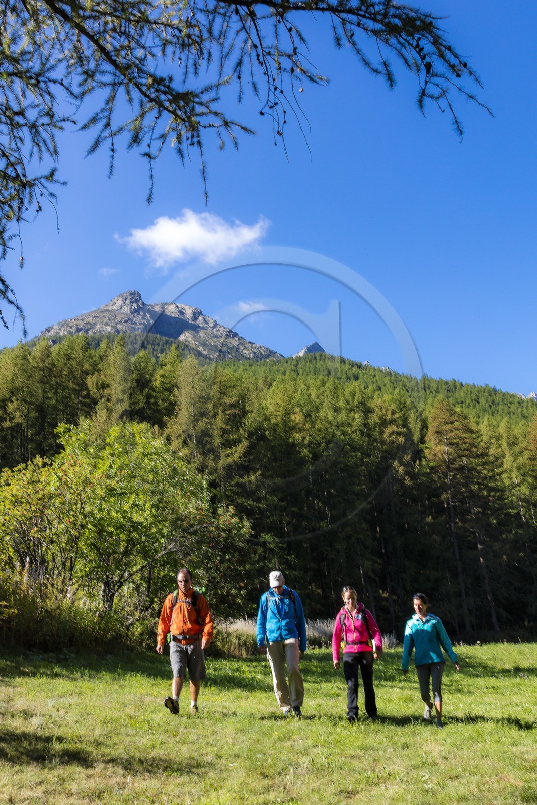 Céline Jumentier, accompagnatrice en moyenne montagne