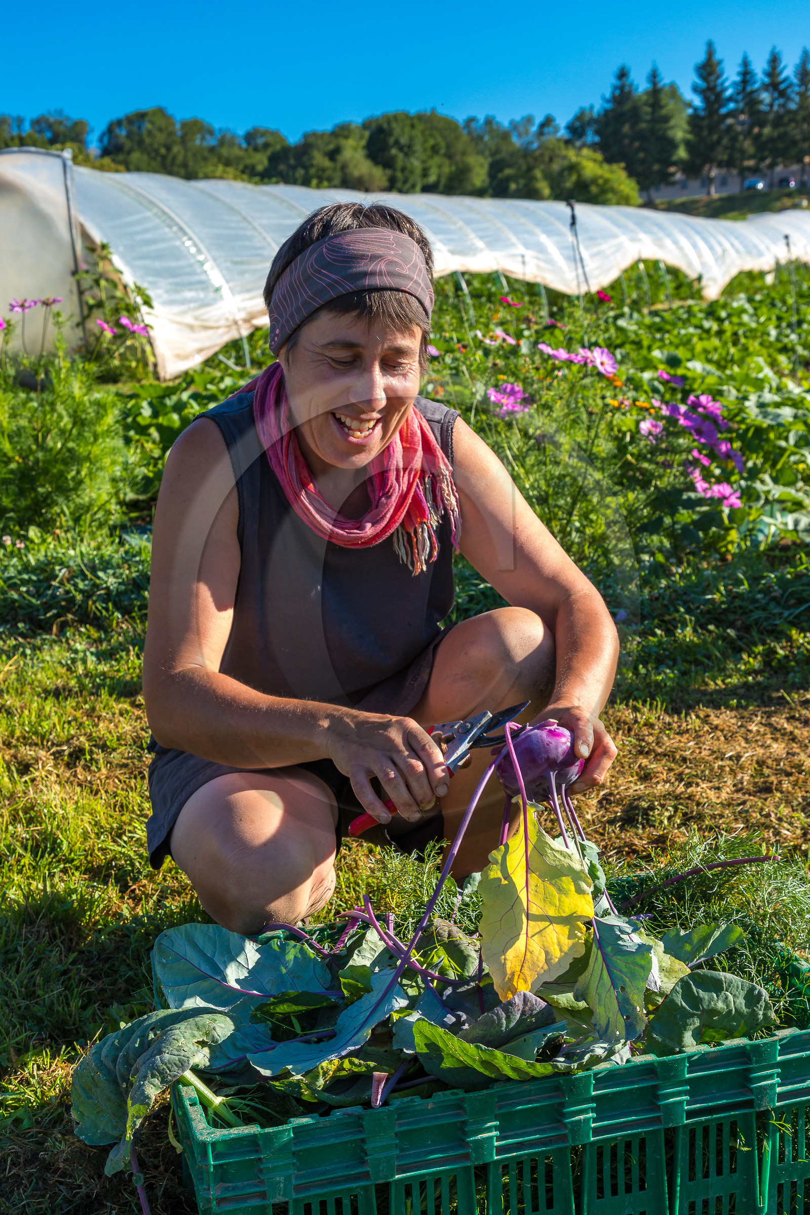 LéguMontagne, Sylvie Jaussaud et  Bertille Gieu, Maraîchères bio LéguMontagne, Sylvie Jaussaud et  Bertille Gieu, Maraîchères bio