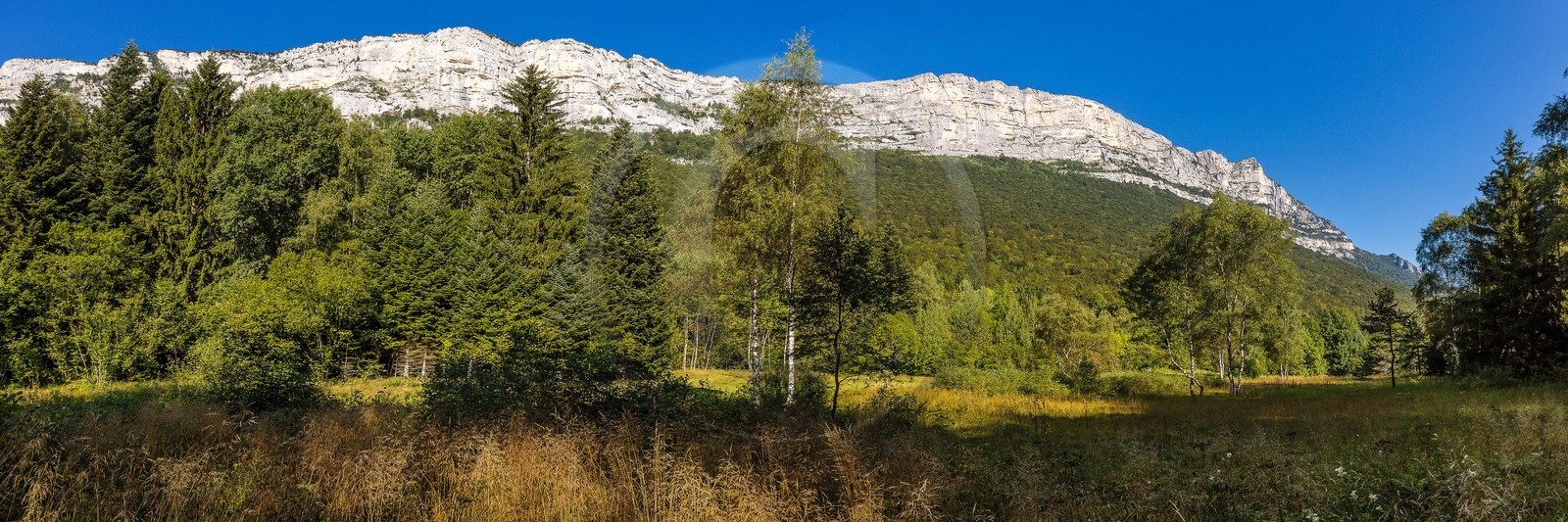 ENS de l'Isère,Tourbières du Peuil