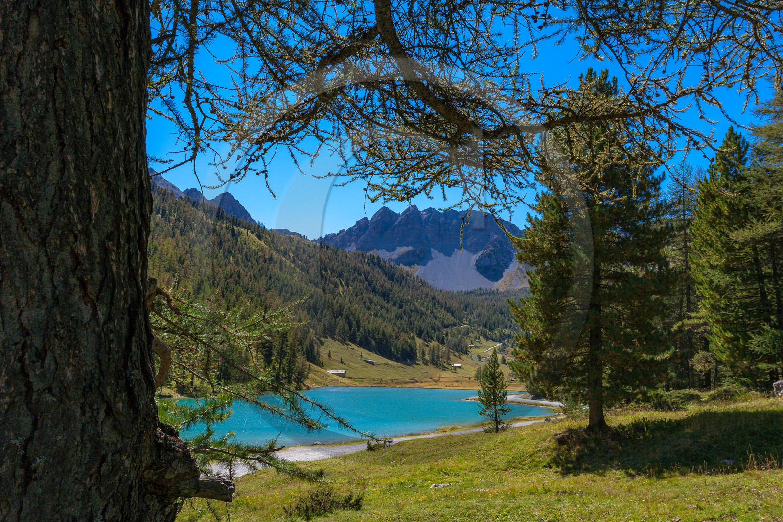 Lac de l'Orceyrette