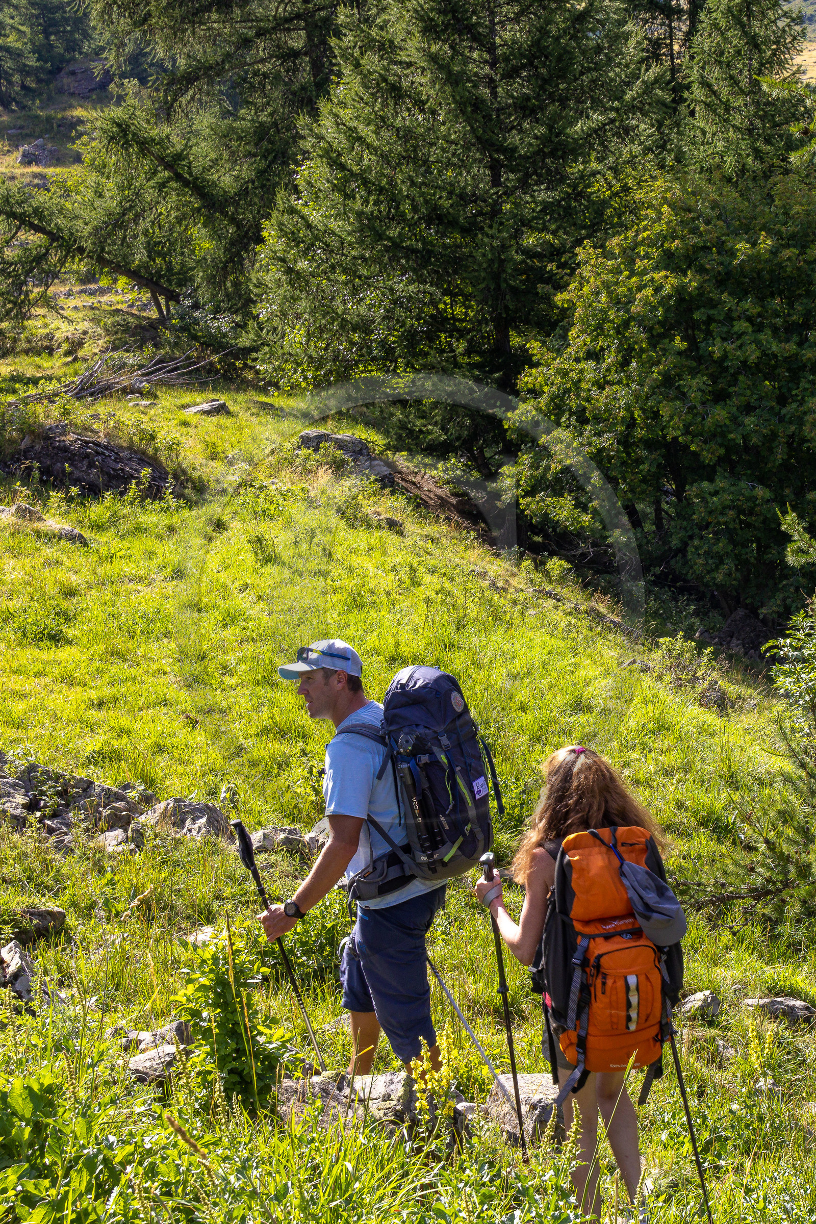 Vallée de Freissinières Vallée de Freissinières