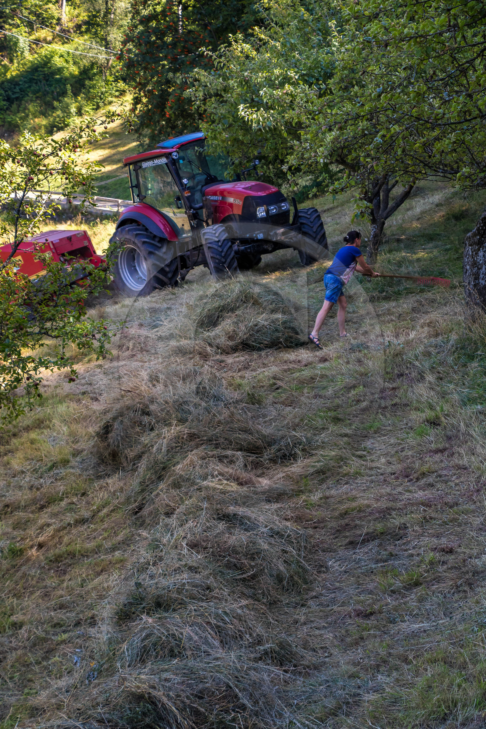 Gaec La chèvrerie des Combettes Gaec La chèvrerie des Combettes