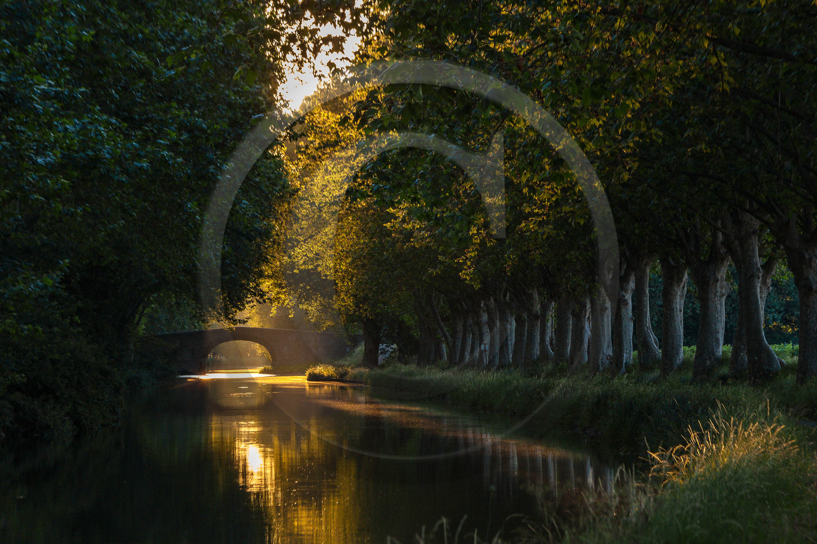 Canal du Midi, inscrit au Patrimoine mondial de l'UNESCO Canal du Midi, inscrit au Patrimoine mondial de l'UNESCO