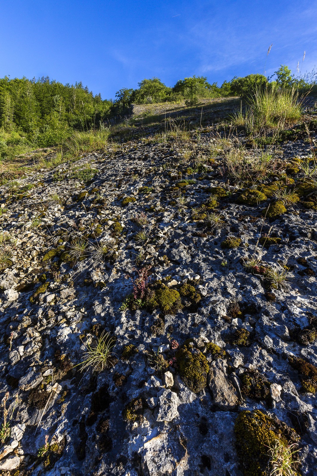 ENS de l'Isère, vallée fossile des Rimets