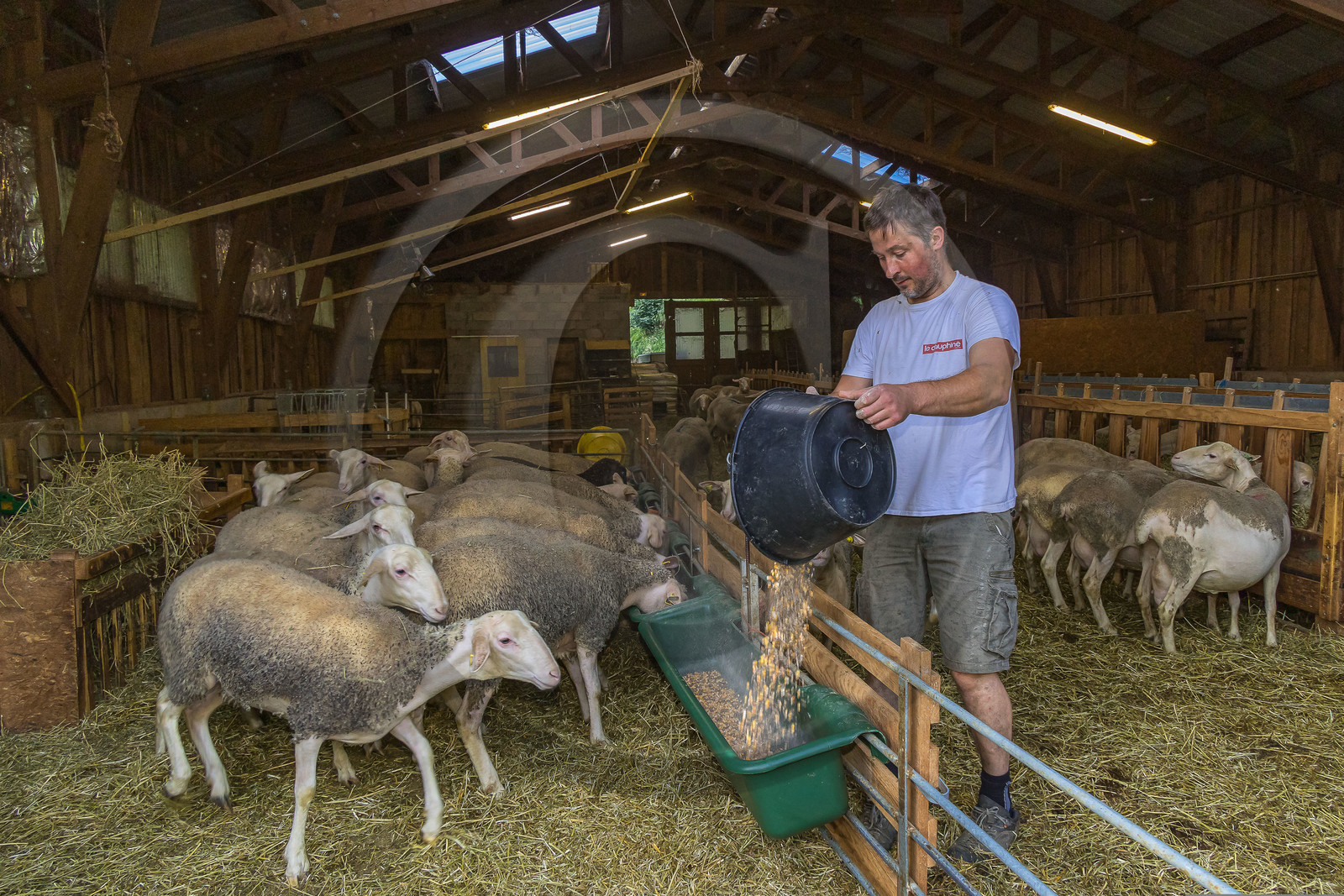 Bergerie de la Lignarre Bergerie de la Lignarre