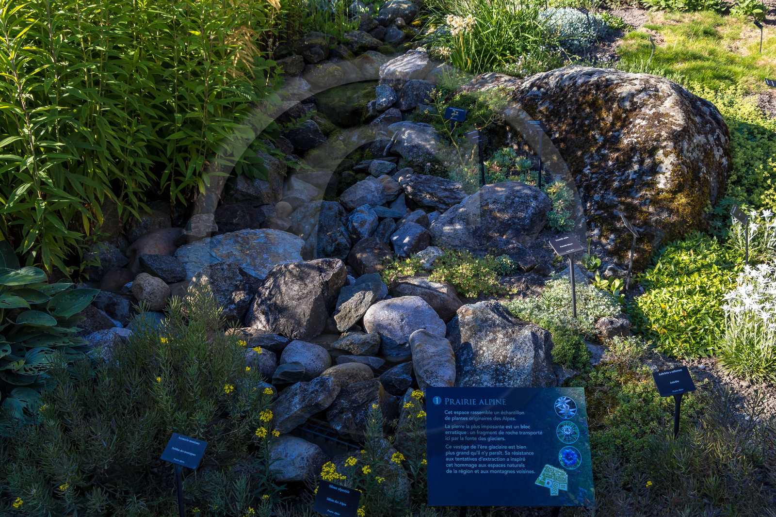 Jardin des Cinq Sens