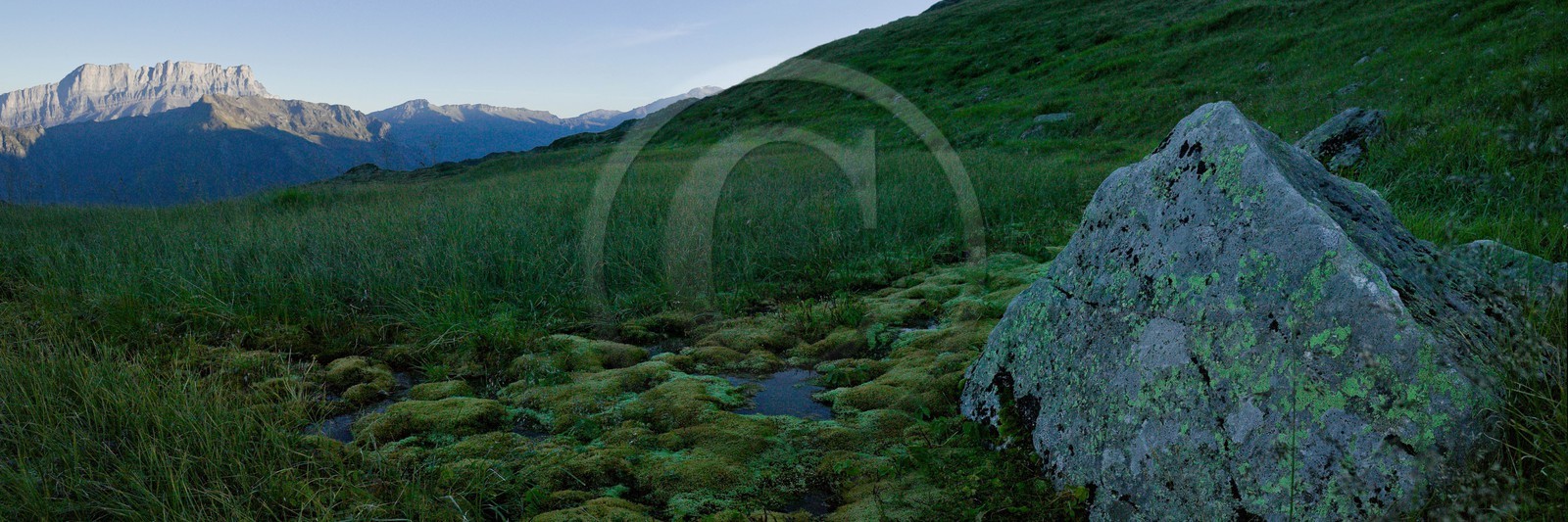 Réserve naturelle de Carlaveyron, col de Bellachat, mare, tourbière, gouille et les Fiz Réserve naturelle de Carlaveyron, col de Bellachat, mare, tourbière, gouille et les Fiz