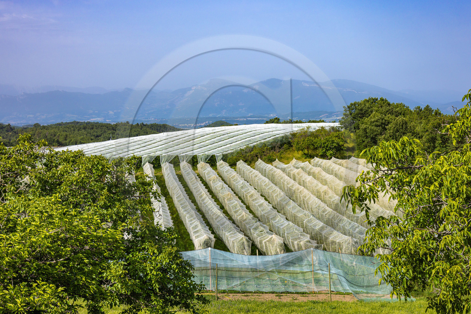 Melve, Gaec de la Maurelle