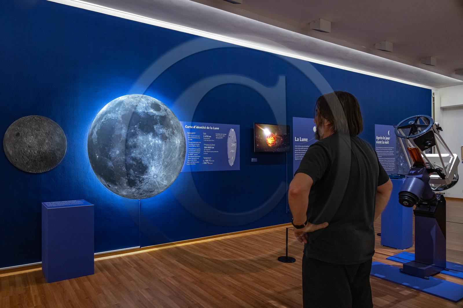 Musée Muséum départemental des Hautes-Alpes, Exposition Nuit