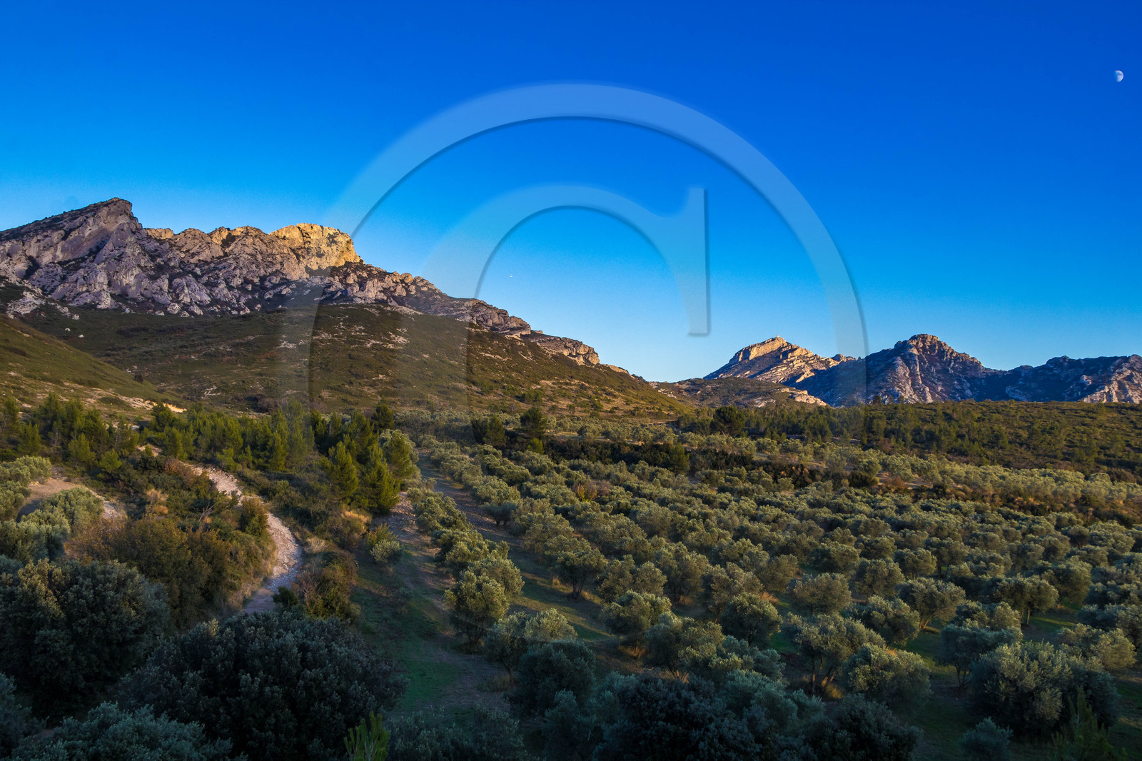 Les Baux de Provence, Domaine La Fabresse
