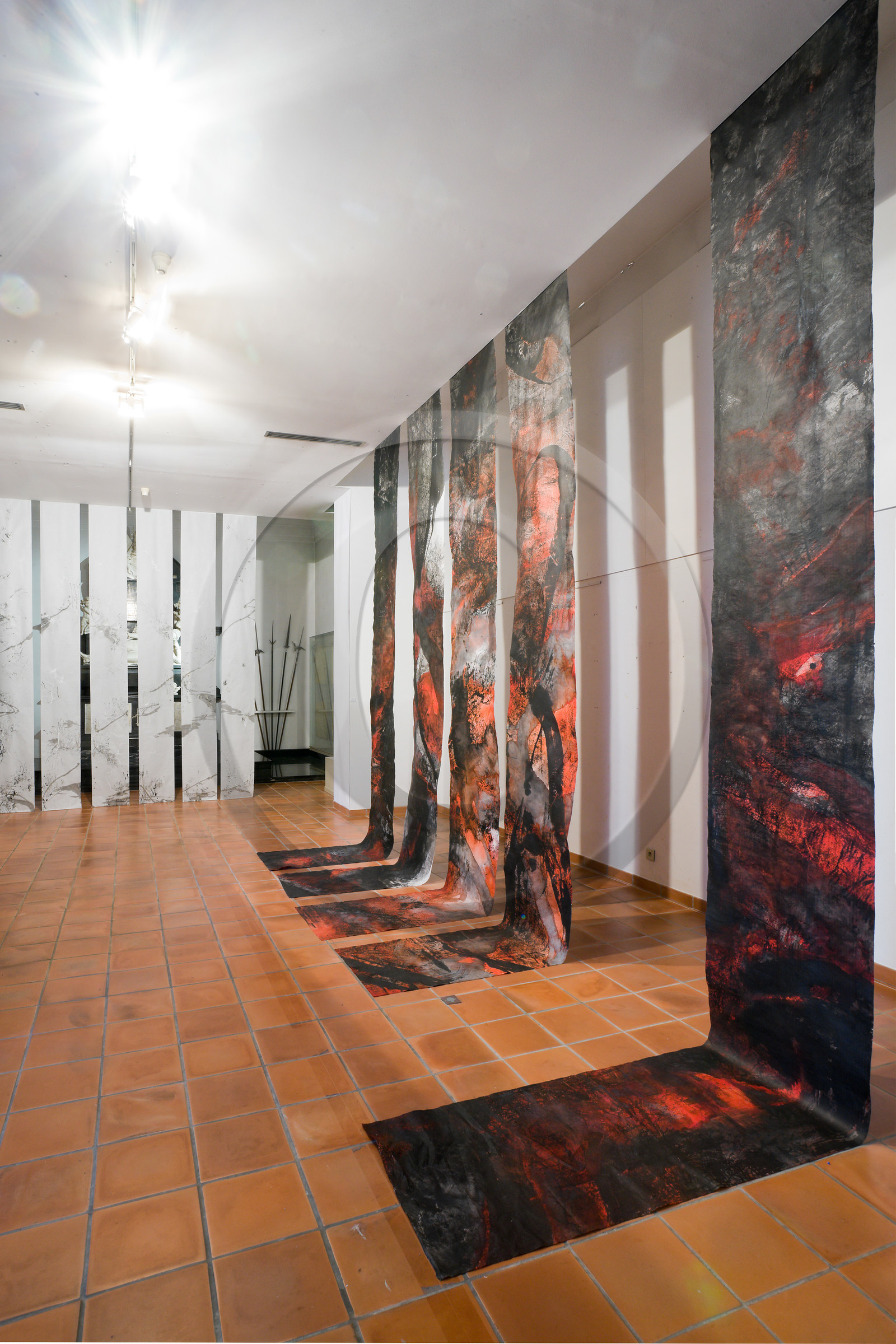 Gap, Musée Muséum départemental des Hautes-Alpes