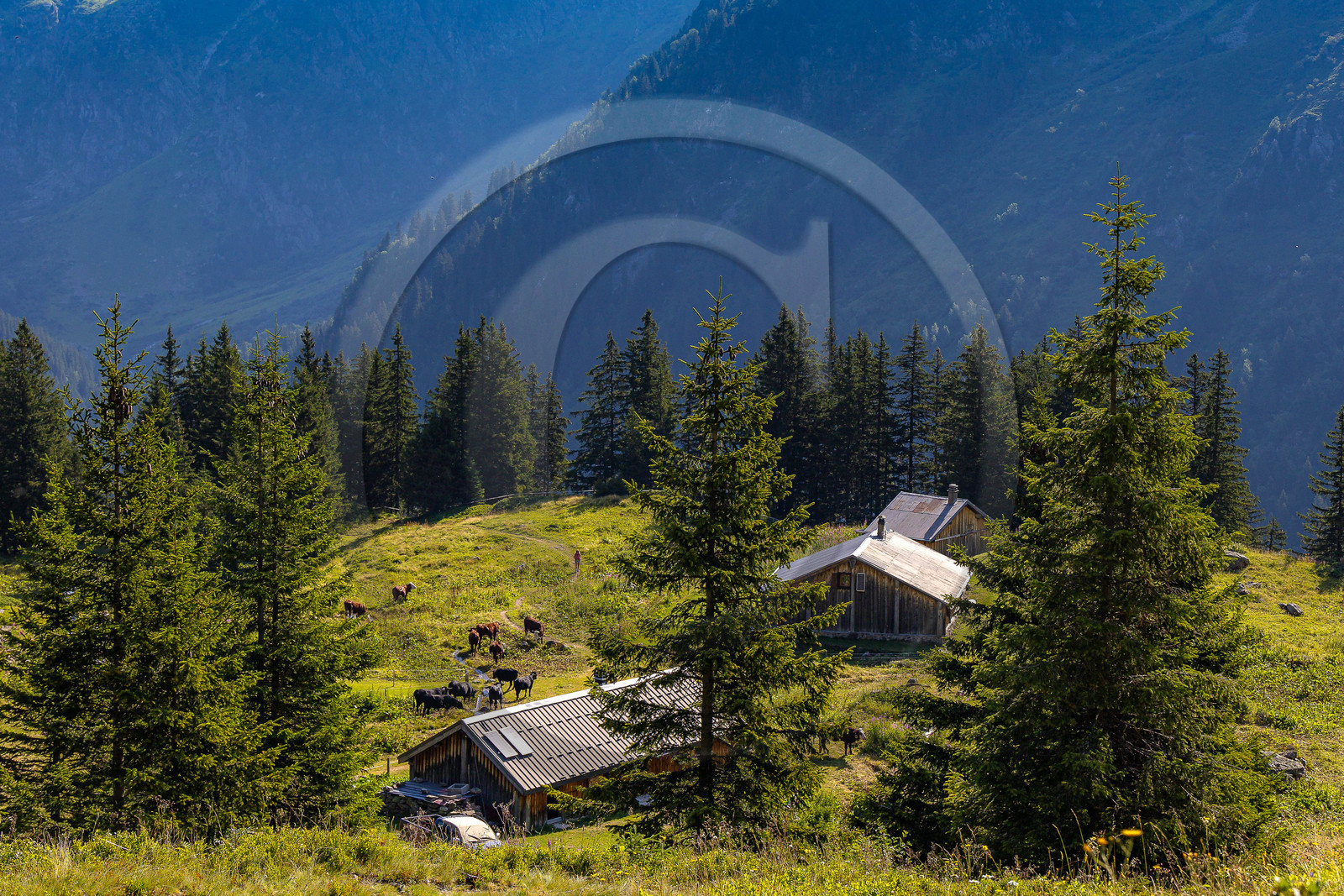 Réserve Naturelle des Contamines-Montjoie Réserve Naturelle des Contamines-Montjoie