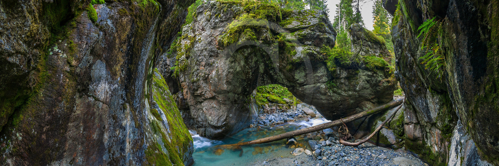 Réserve naturelle des Contamines-Montjoie, Pont naturel, torrent du Bon Nant