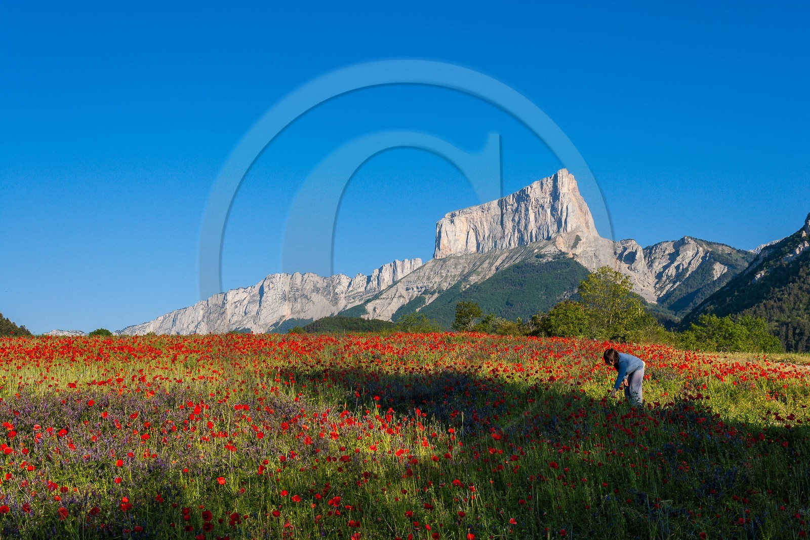 Trièves, le Mont-Aiguille