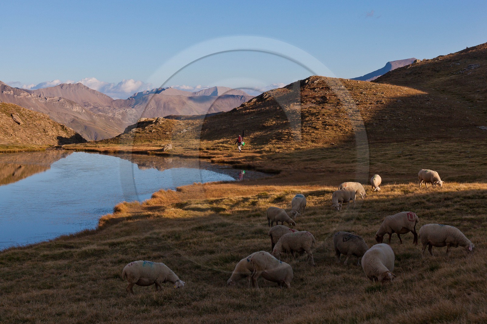 Lac Profond