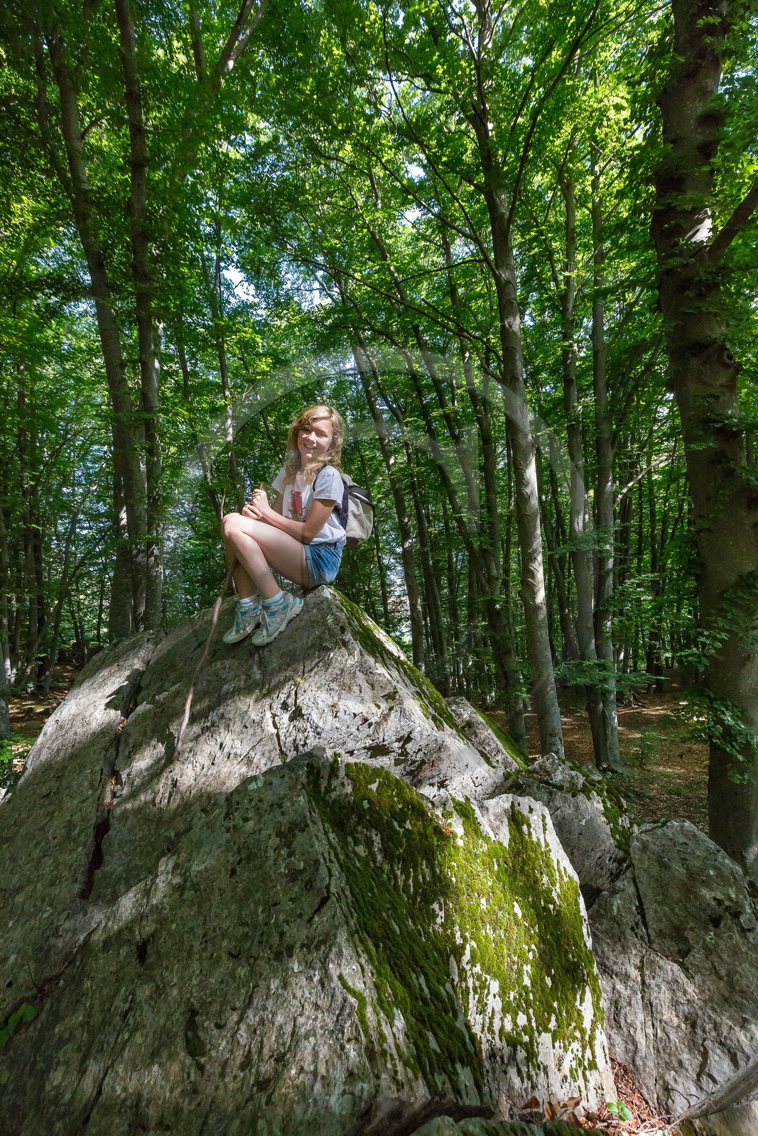 Alpes de Haute-Provence, hêtraie de Pontis