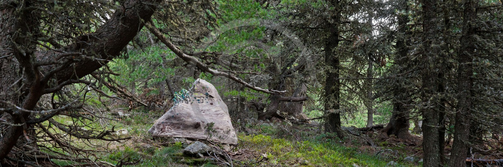 Sentiers Art et Nature Queyras et Val Varaita, Stéphanie Cailleau