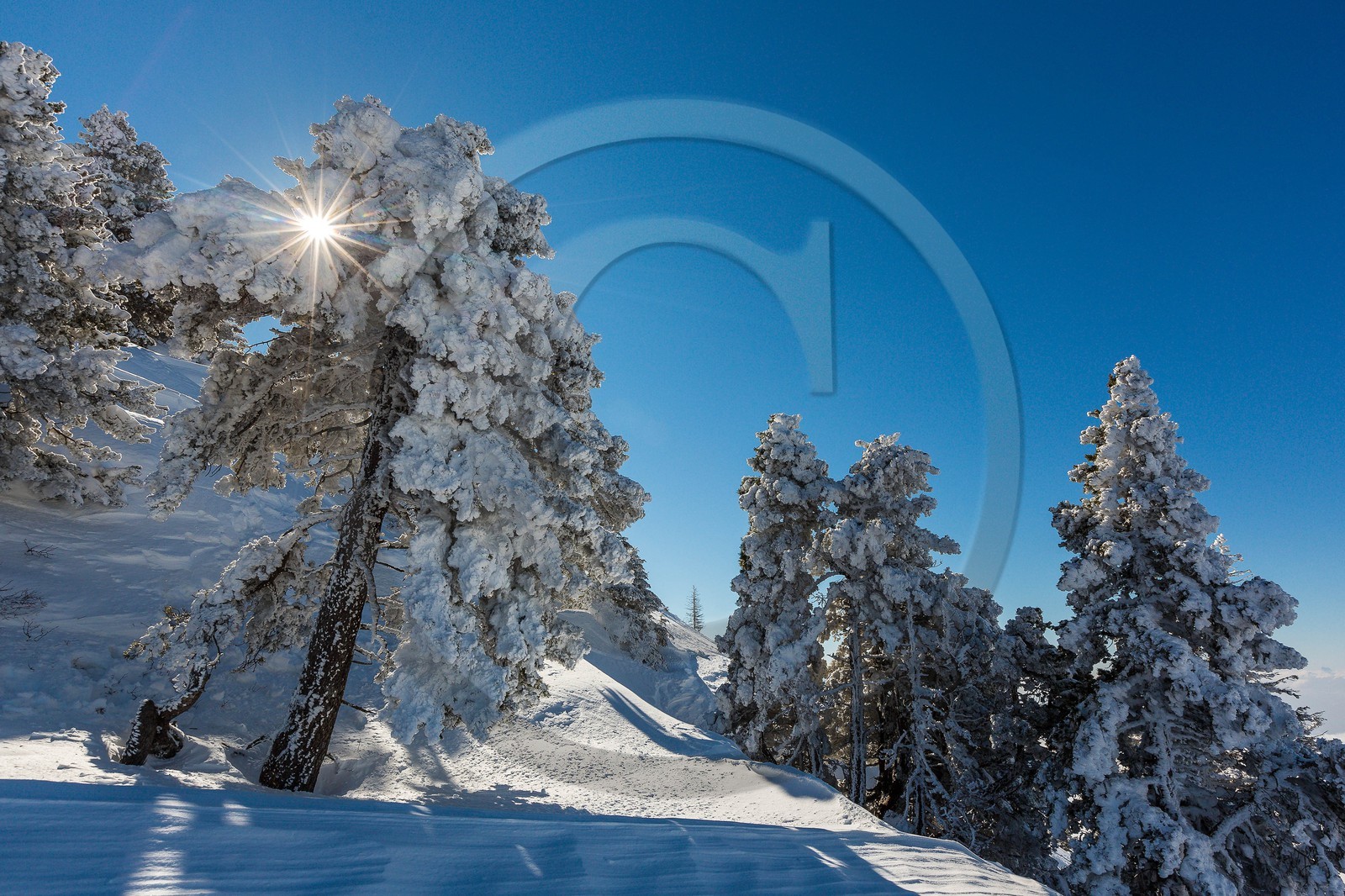 Espace naturel sensible de l'Isère, Col du Coq