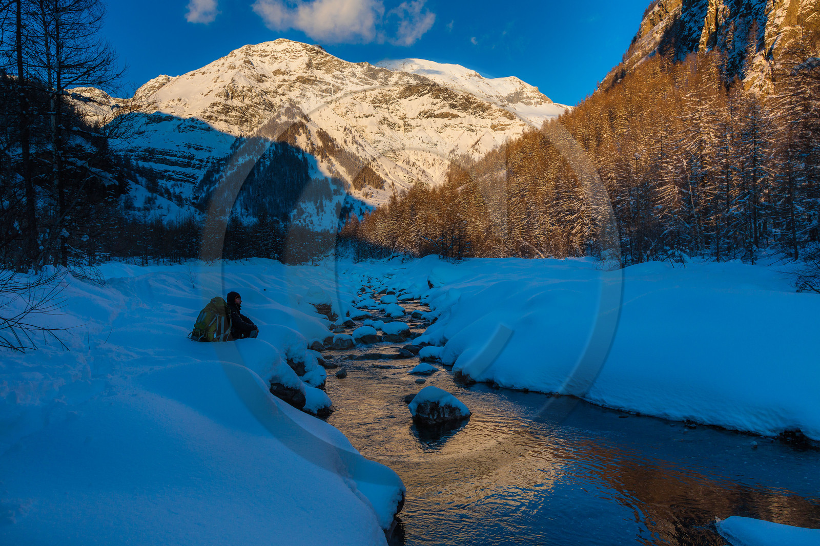Film : La vallée des loups Film : La vallée des loups