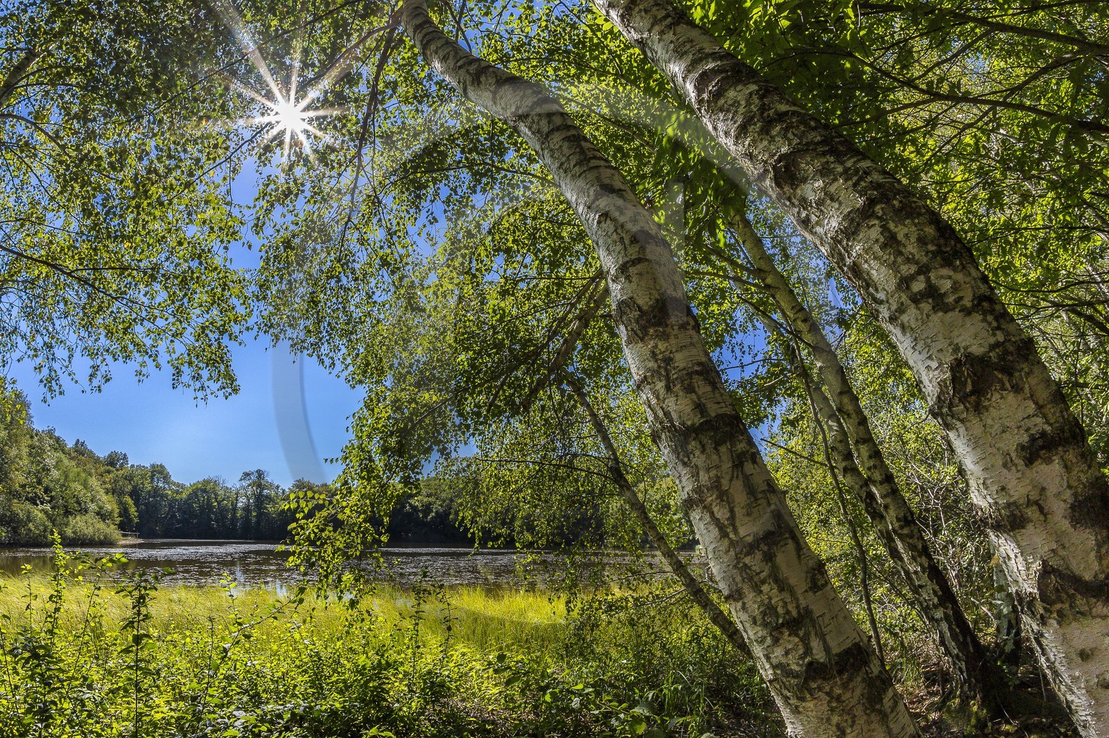 ENS de l'Isère, Etang des Béroudières