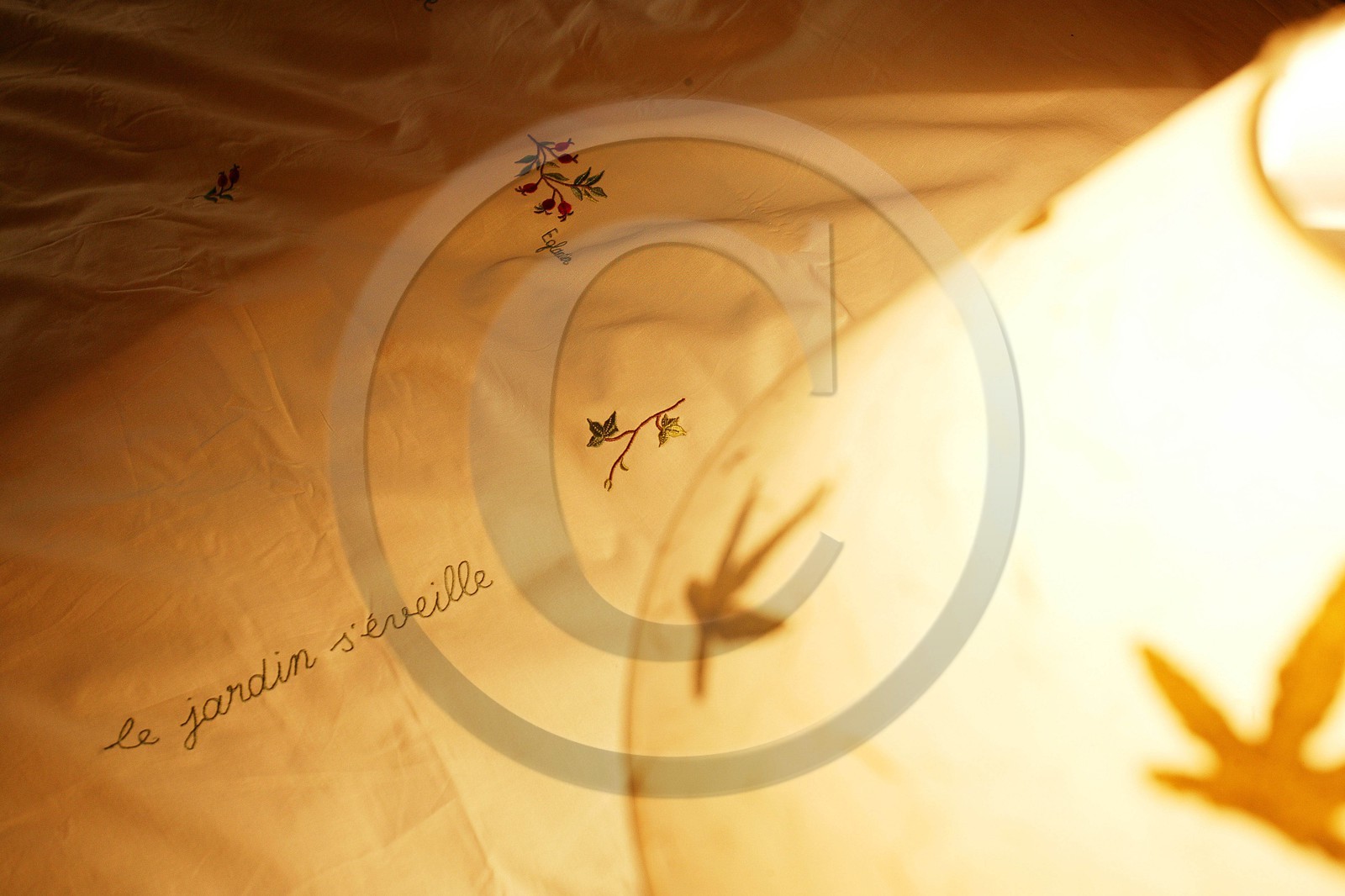 Chambres et table d'hôtes le Chalet des Alpages Chambres et table d'hôtes le Chalet des Alpages