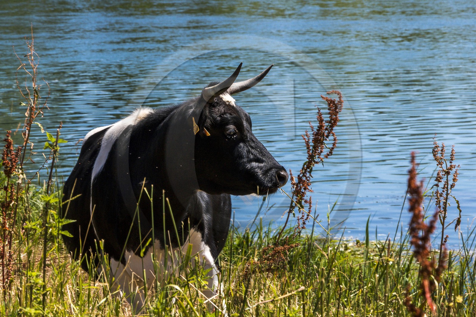 ENS de l'Isère, , le méandre des Oves ENS de l'Isère, , le méandre des Oves