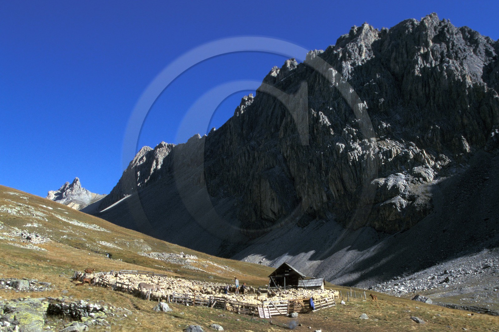 Bergers de la Vallée de la Clarée