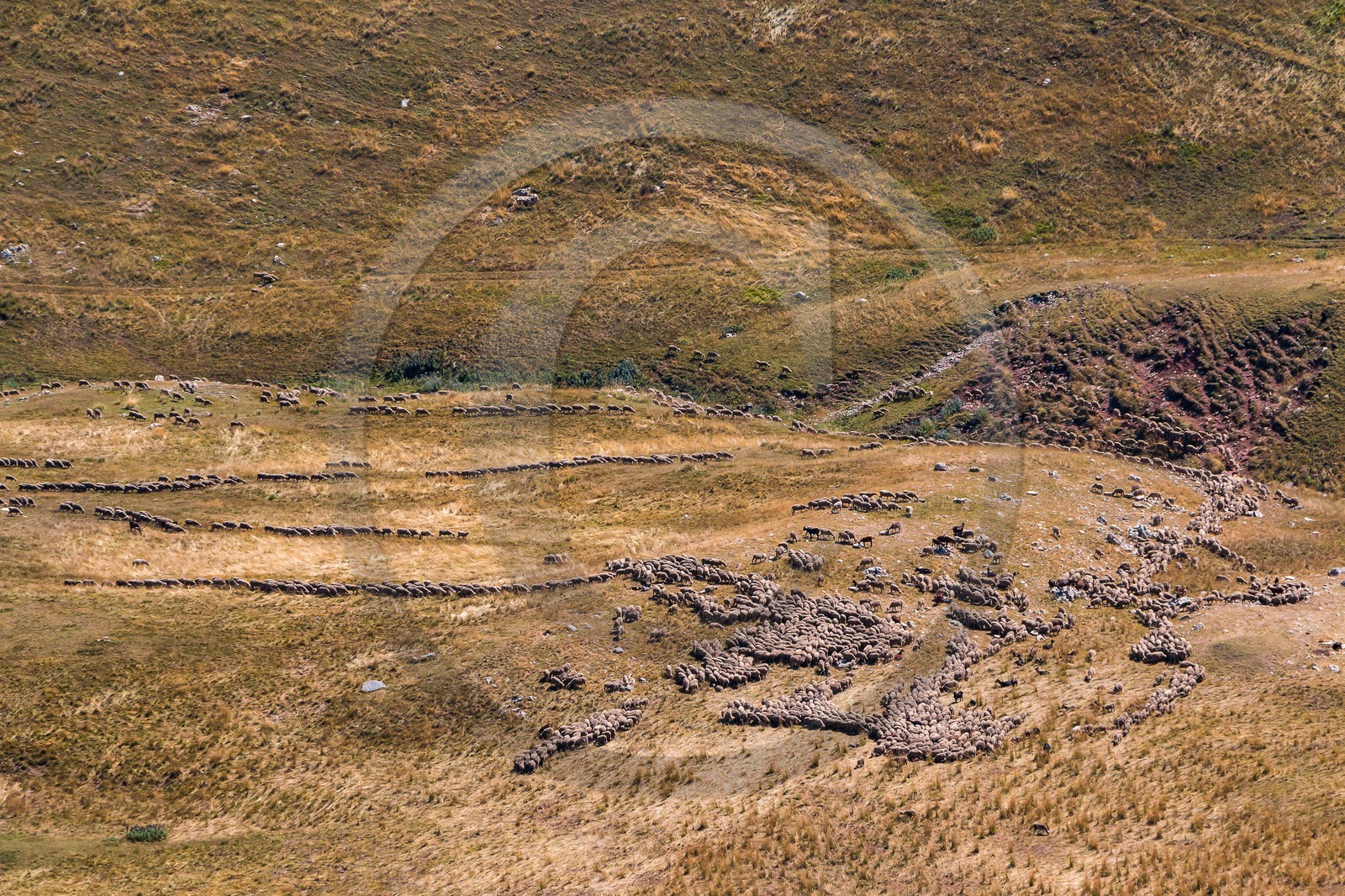 Les Monges, paturage et cabane de Clapouse