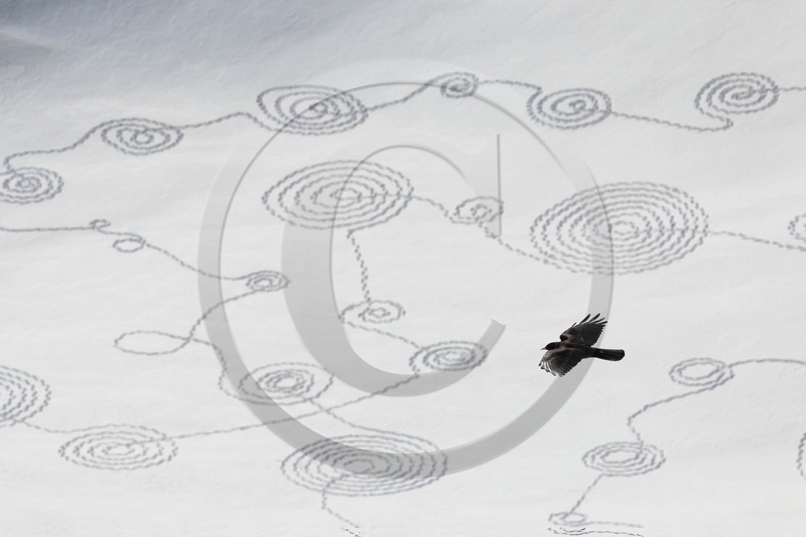 Serre-Chevalier, Snow drawings, une œuvre de l'artiste Sonja Hinrichsen