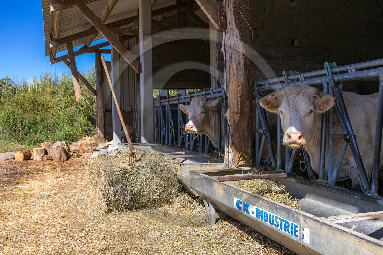 Ferme de Sauron, Laure Marcellin Ferme de Sauron, Laure Marcellin