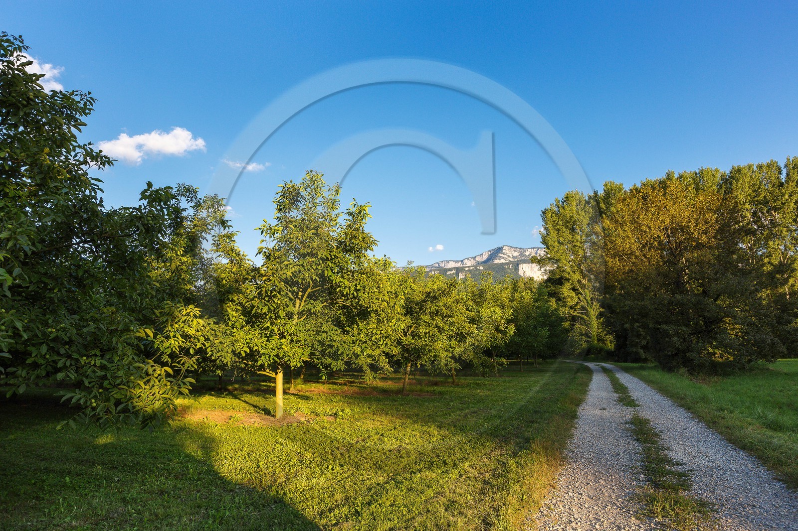 ENS de l'Isère, Boucle des Moïles ENS de l'Isère, Boucle des Moïles