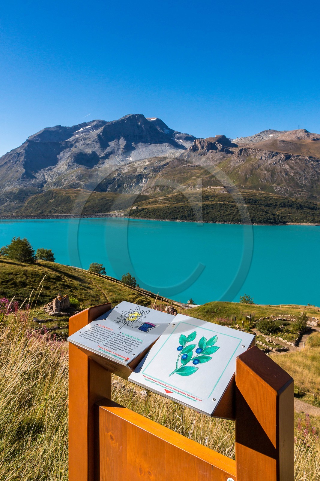 Jardin alpin du Mont-Cenis Jardin alpin du Mont-Cenis