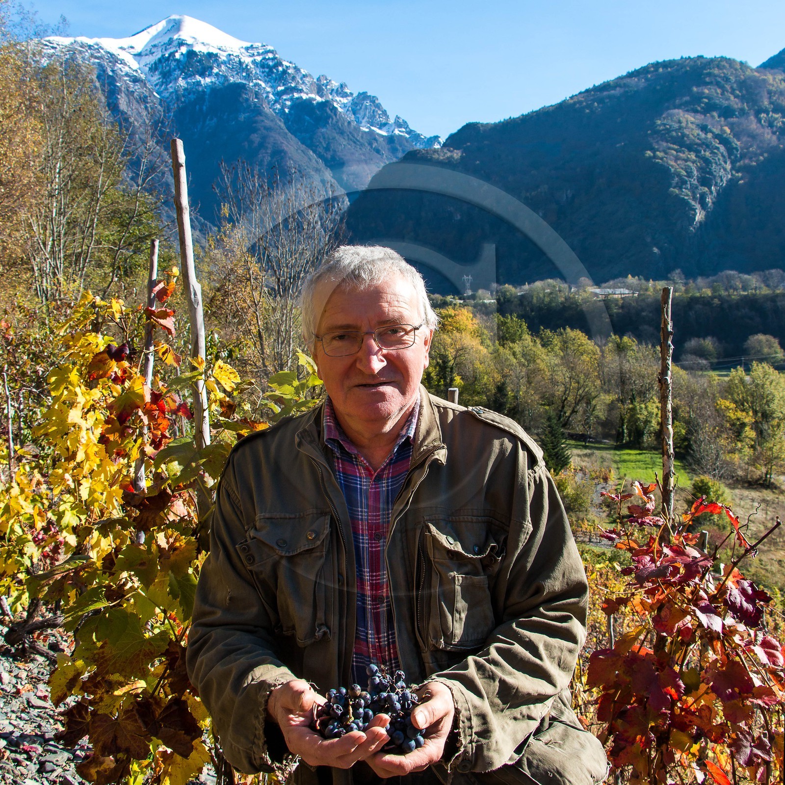 Valbonnais, Les Angelas, les vignes de Blanc-Marquis