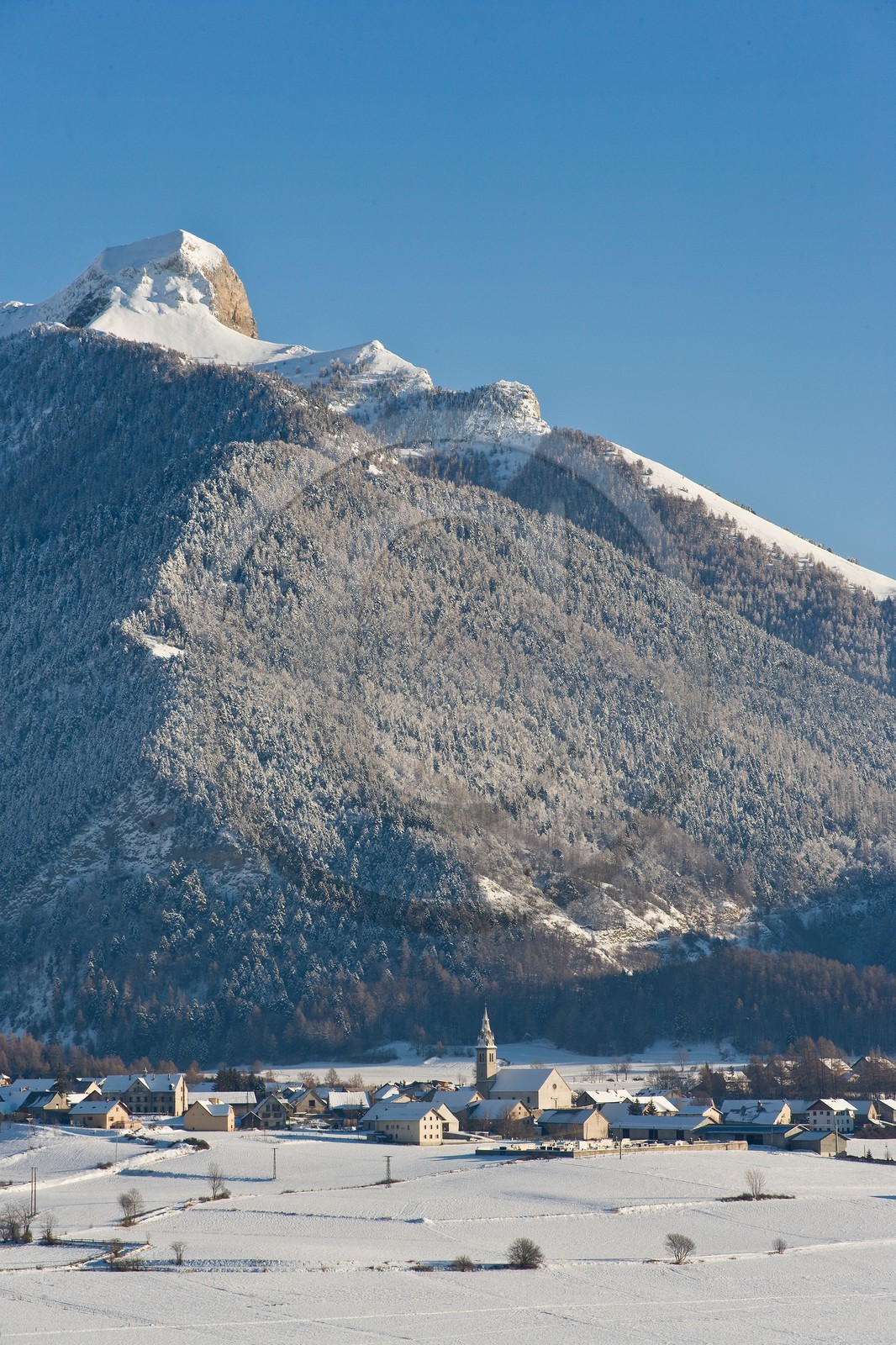 Ancelle