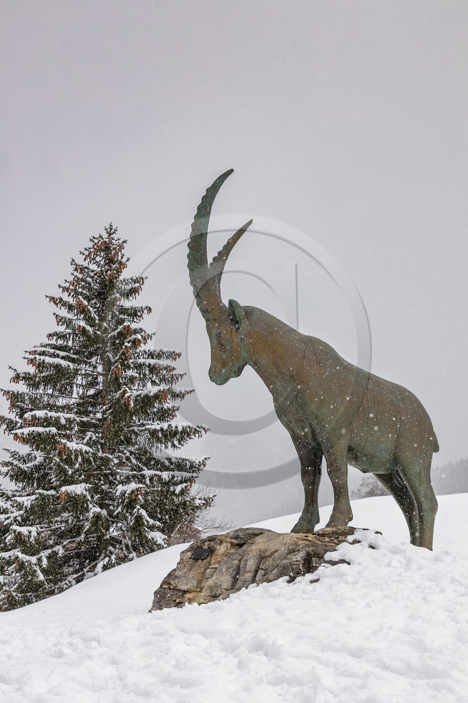 Pralognan-la-Vanoise, bouquetin en bronze