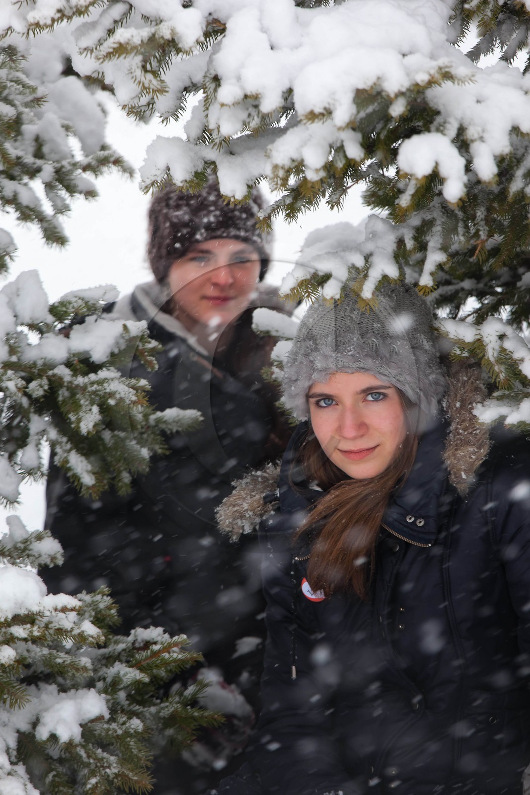 Hiver, randonnée balade sous la neige Hiver, randonnée balade sous la neige