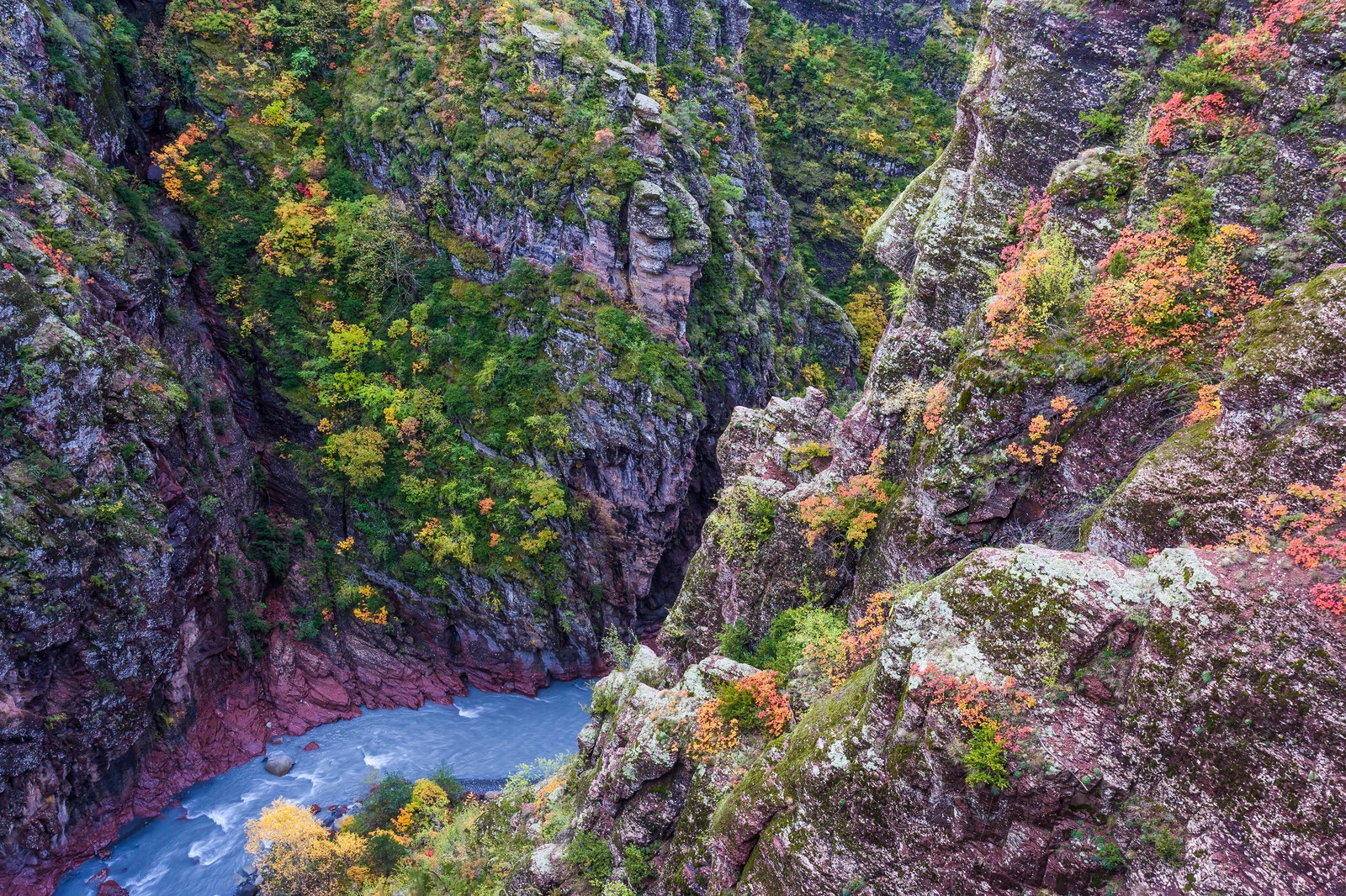 Gorges de Daluis