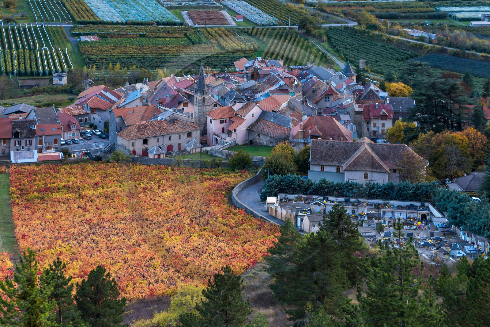 Remollon