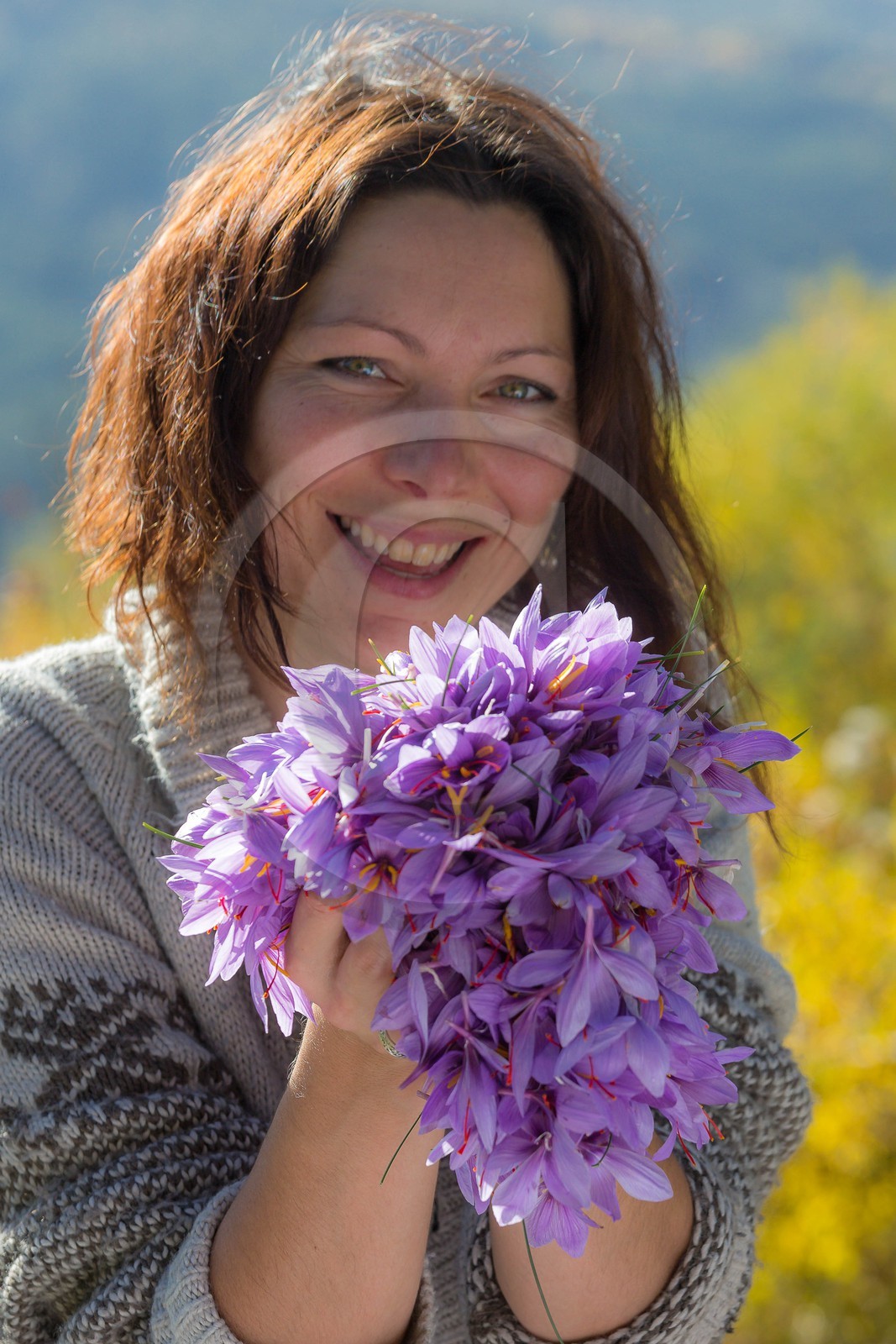 Carole Prost cultive du safran qui ensoleille ses créations Carole Prost cultive du safran qui ensoleille ses créations