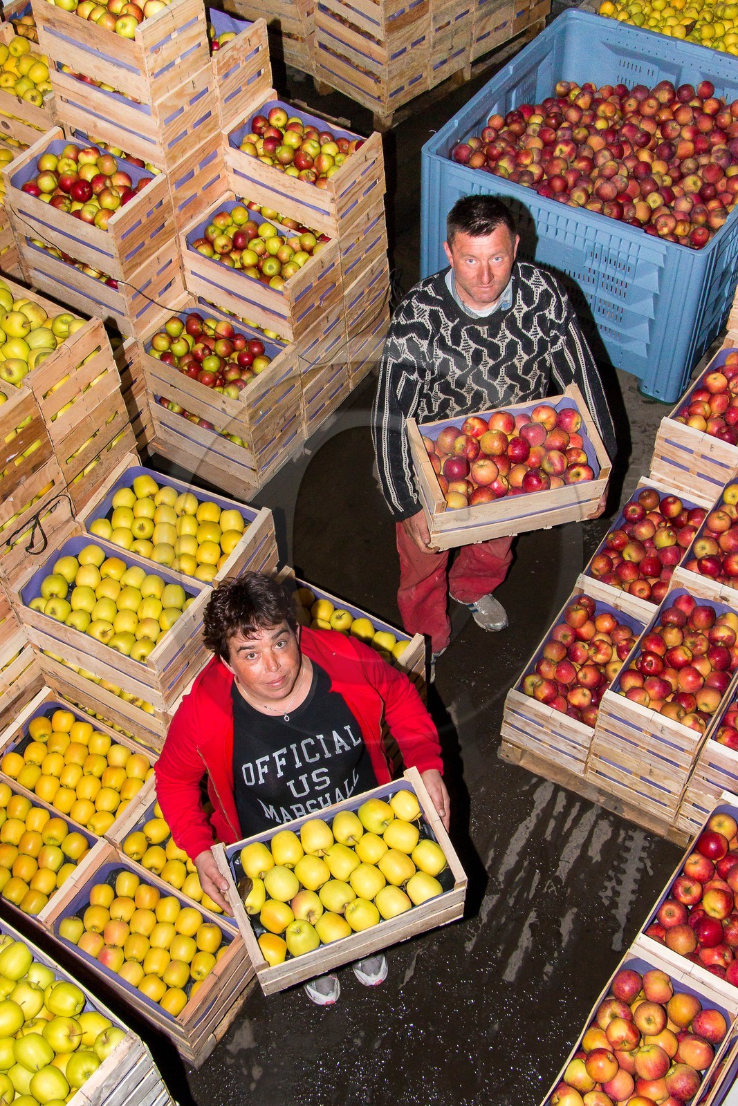 Noëlle et Franck Jacob, producteurs de fruits