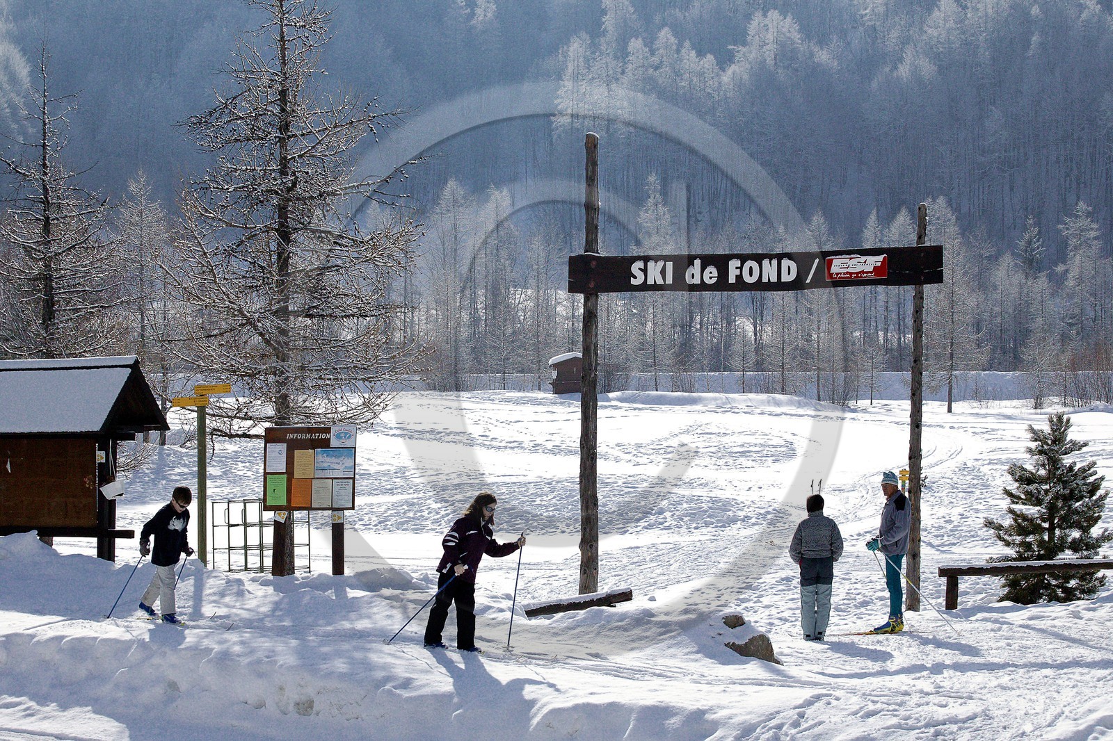Ski nordique