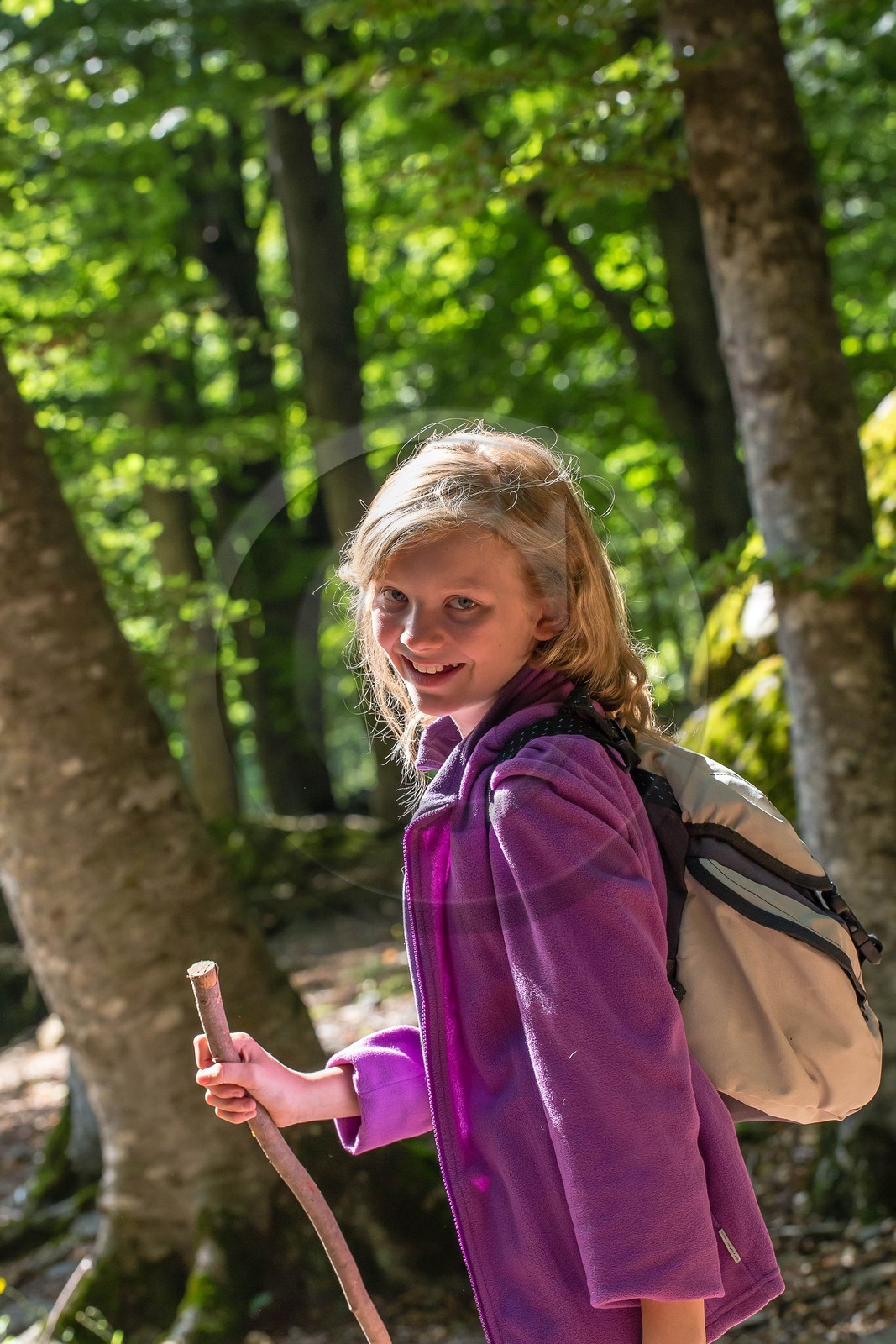 Alpes de Haute-Provence, hêtraie de Pontis