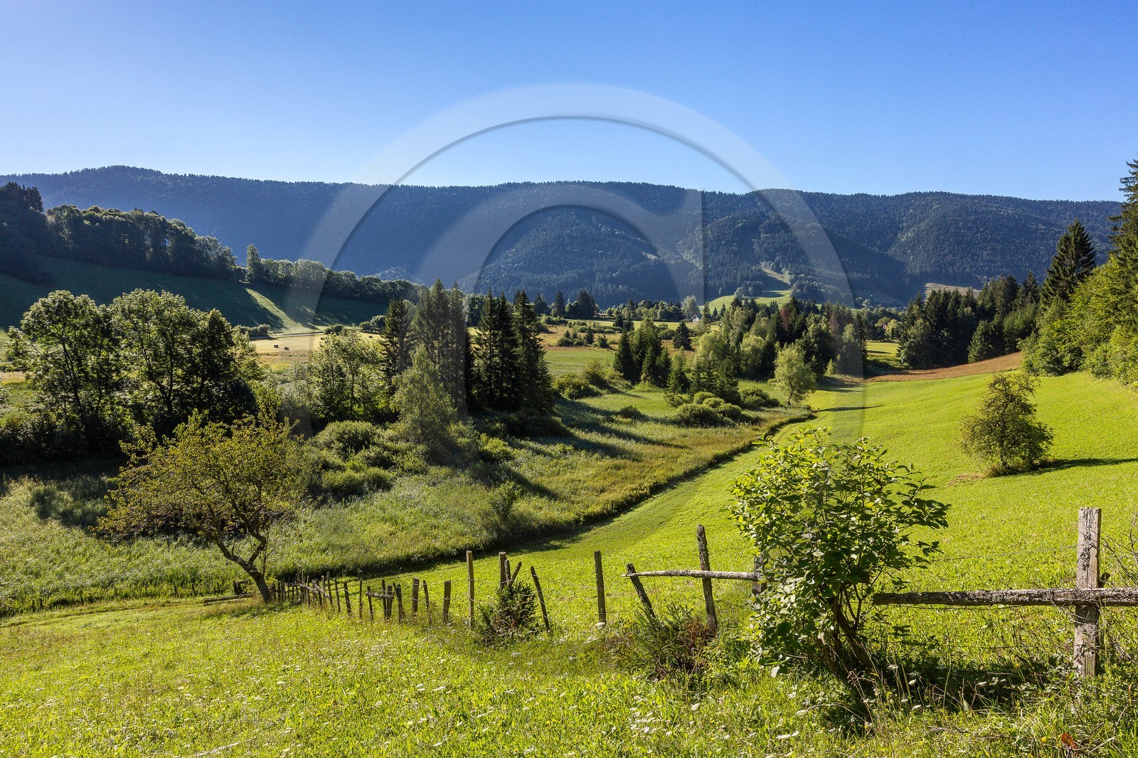 ENS de l'Isère, Marais des Sagnes ENS de l'Isère, Marais des Sagnes