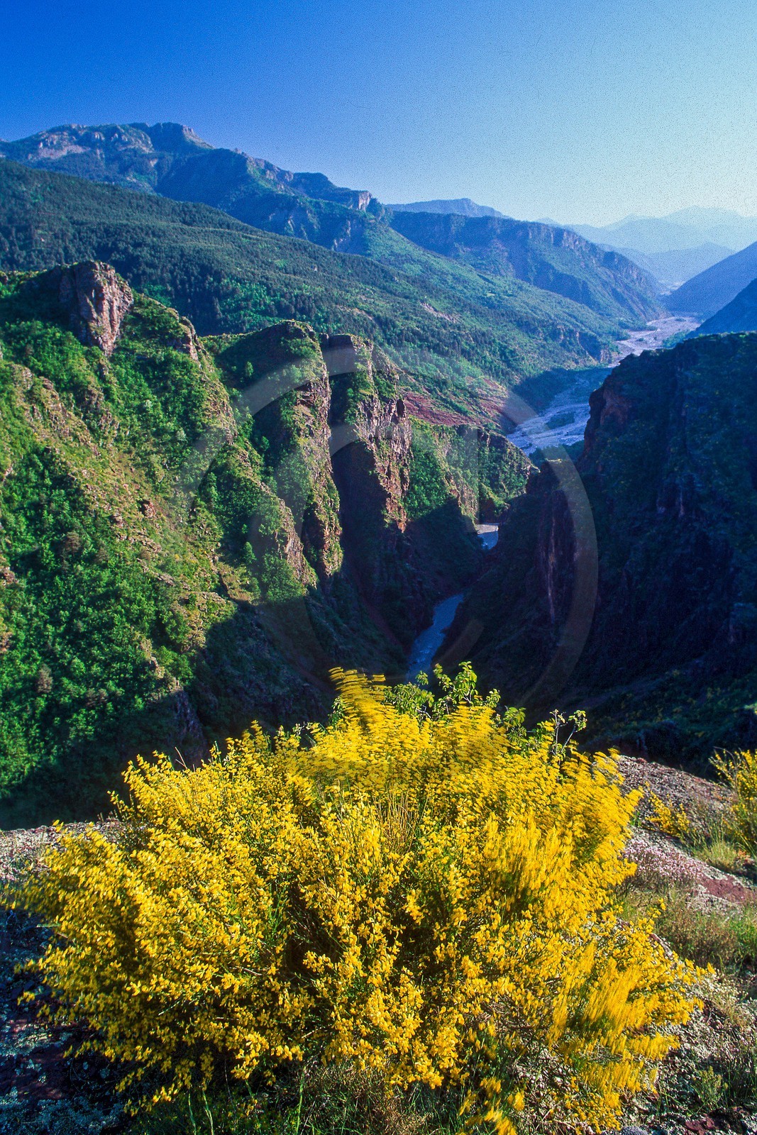 Gorges de Daluis Gorges de Daluis